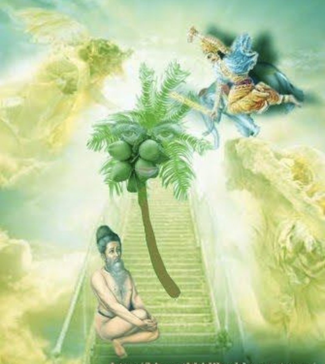 The Devas allowed Satyavrata to stay mid-air. However, the sage realised that Satyavrata would fall back to ground once the spell weakened. So, he held him with a long pole. In time this pole became the trunk of the coconut tree and Satyavrata’s head became the fruit.