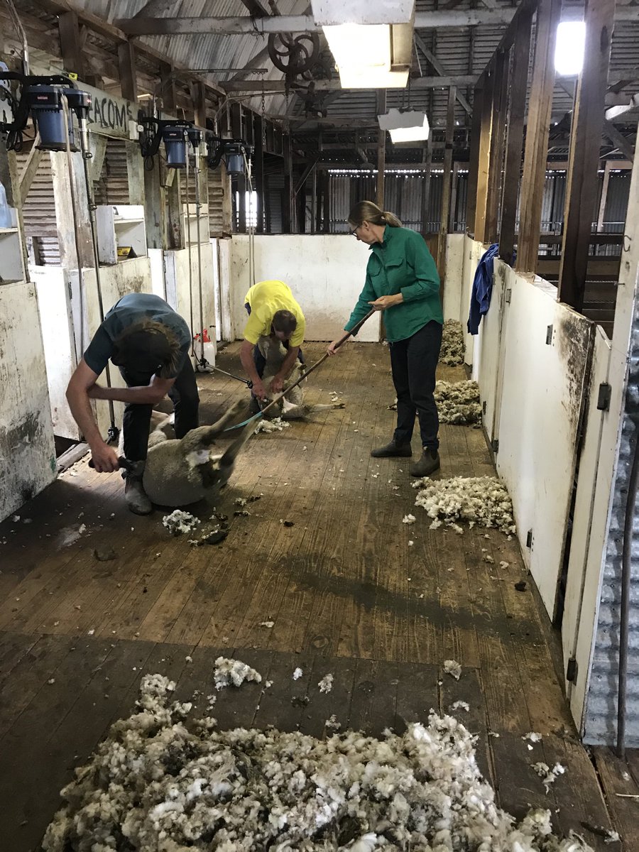 John Bennett tweet media