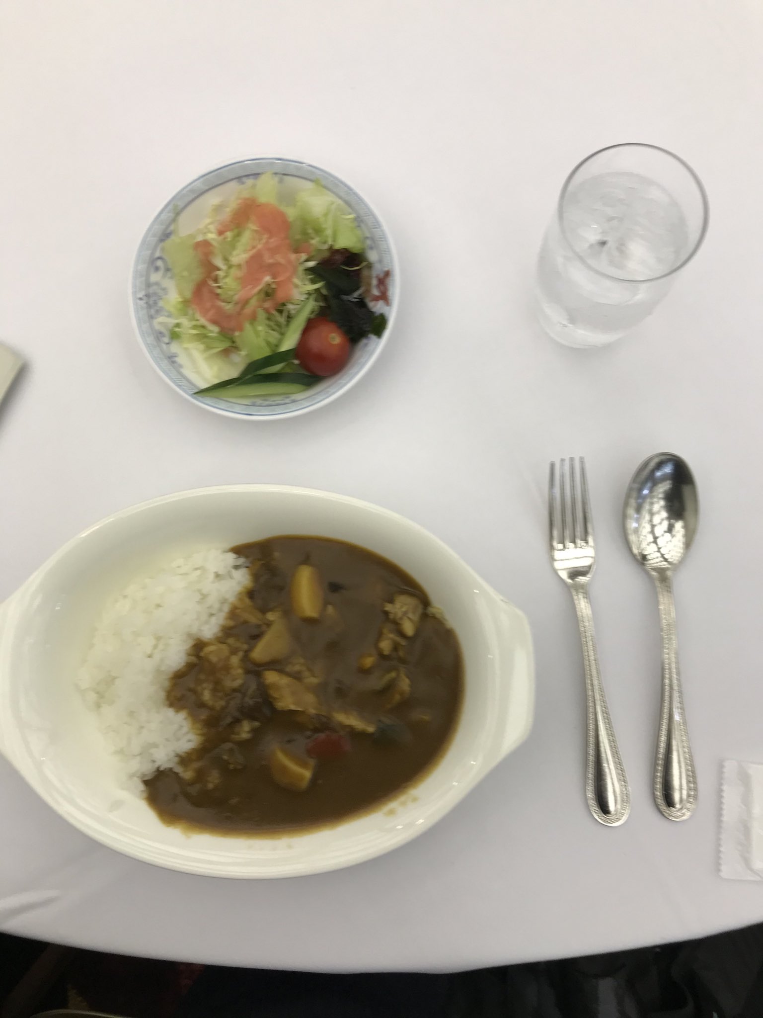 Twitter 上的 江戸川女子中学高等学校 公式アカウント 中学1年軽井沢b隊 ２日目の昼食は 毎年 軽井沢プリンスホテルのカレー ライス を頂きます ボリュームもたっぷりありますが 多くの生徒がおかわりをしていました この後は白糸の滝 旧軽井沢の見学です