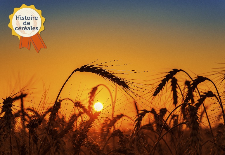 Aujourd'hui on vous parle histoire, c'est l'histoire d'une céréale : Le blé… 🌾🌾

👇 Tout sur le blé ici 👇
blogresonnances.fr/histoire-de-ce…
#blé