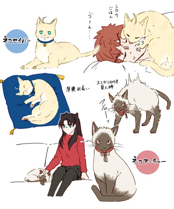 ネコセイバーと士郎/ネコアーチャーと凛 