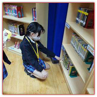 Library | Raffles International School tweet media