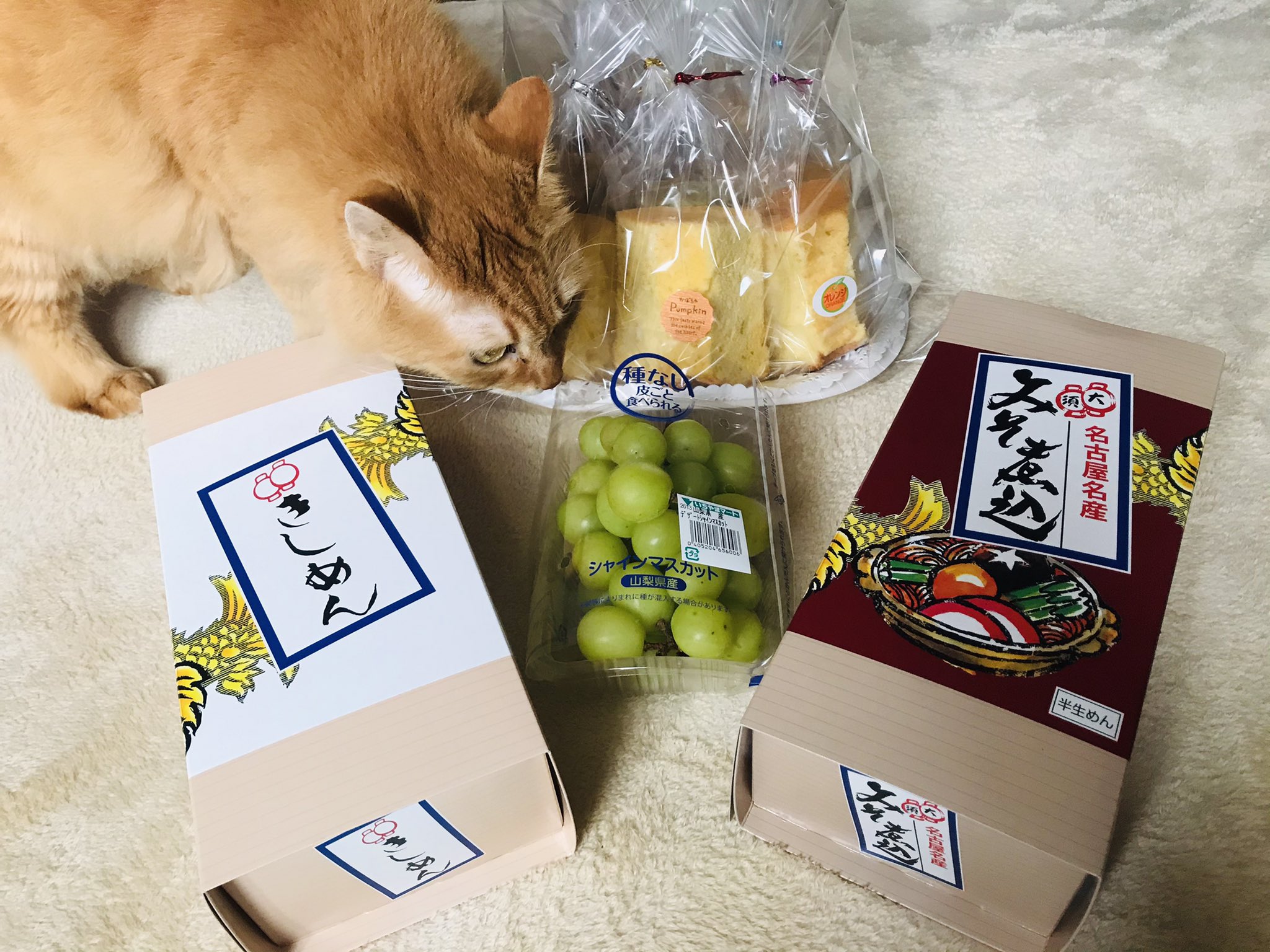 小山大虎 小山 (@Koyama7700Seven) / X