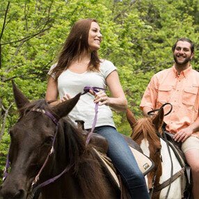 HolstonTravel's tweet photo. https://t.co/5YqciRvCW9

Enjoy spectacular horseback trail rides through historic trails in the Great Smoky Mountains + 3 nights at River Terrace Resort &amp; Convention Center! #Westgate #HolstonTravel #Gatlinburg #Vacation #Vacation2020 #Weekend #VacationDeals #VacationPackages https://t.co/g6aOkwzvvH