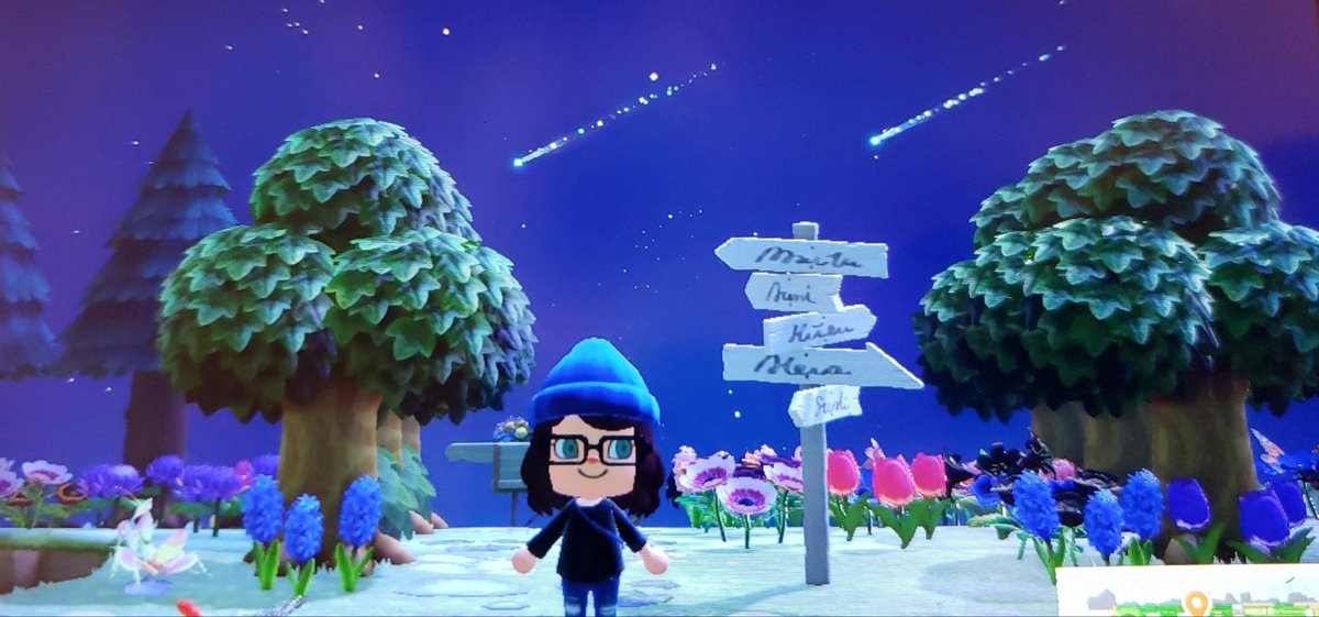 TLea87's tweet photo. #ShootingStars #Celeste #ACNH #DodoCode #MeteorShower 
Dodo: CQGCH 🥰 https://t.co/oxPGZGryXq