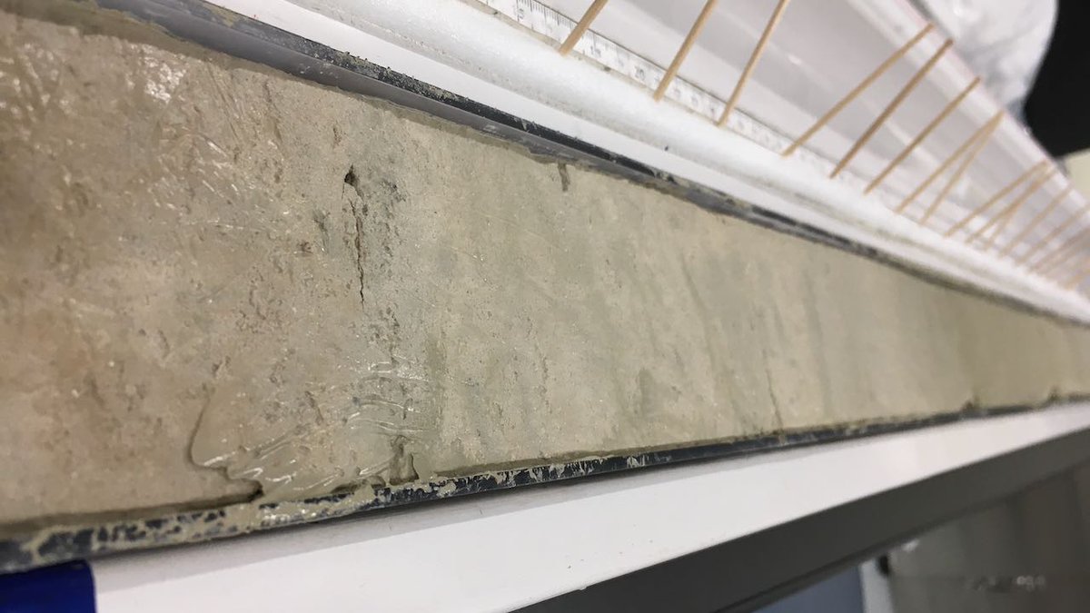 IodpKcc's tweet photo. It is rare for us to see an intact core without any cavity from previous sampling. The mudline core of U1475D, #IODP #EXP361 off South Africa, will be sampled for high resolution paleoceanography by Birbal Sahni Institute of Palaosciences. https://t.co/aLqCSuhCJN