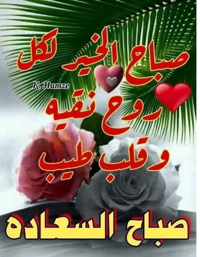 Rana_rana44's tweet photo. اصبحنا واصبح الملك لله الواحد القهار
ربي عليك اتكالي  اللهم احسن ختامي https://t.co/zfE26l1ola