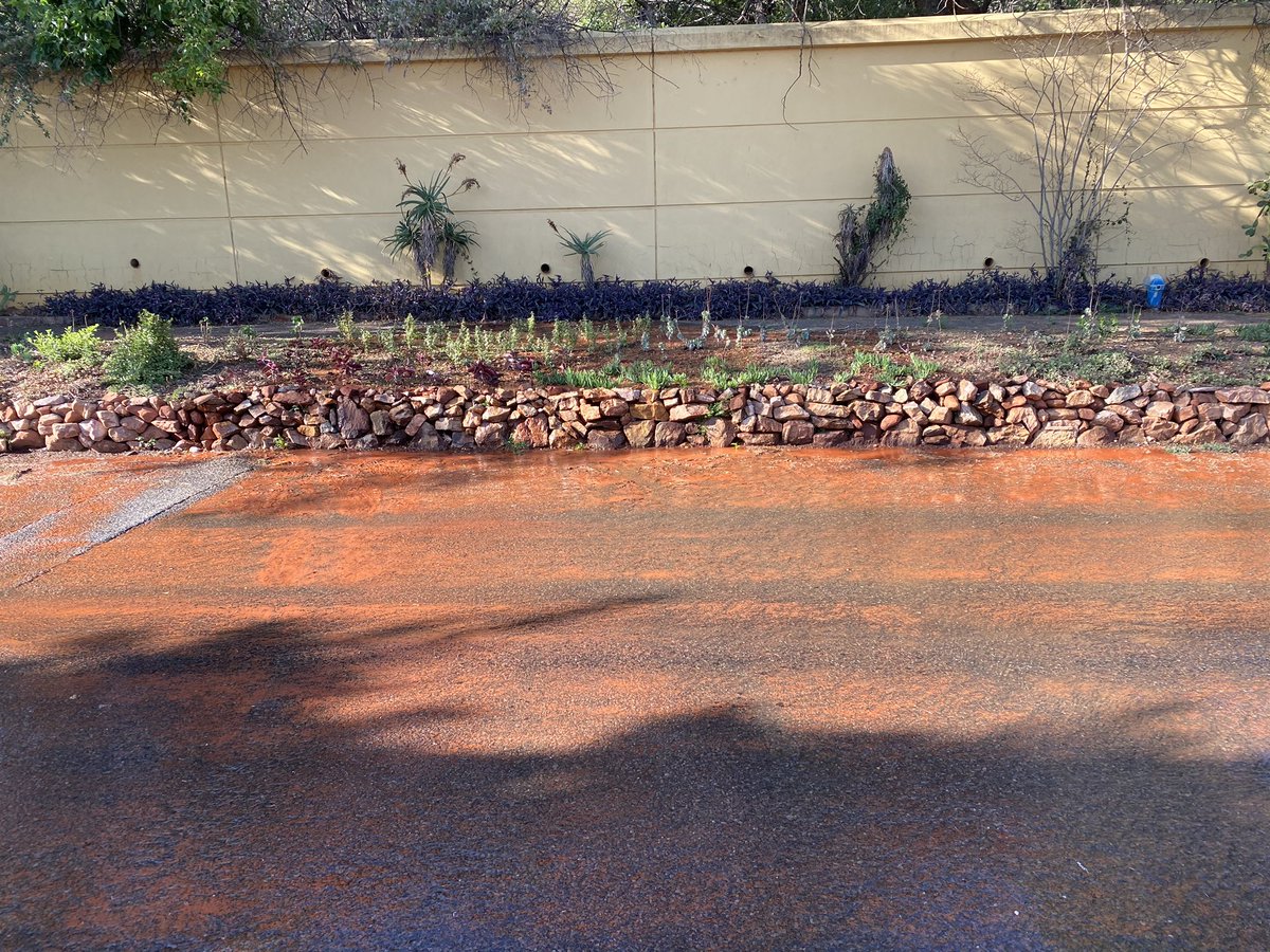 Mark Castel tweet media