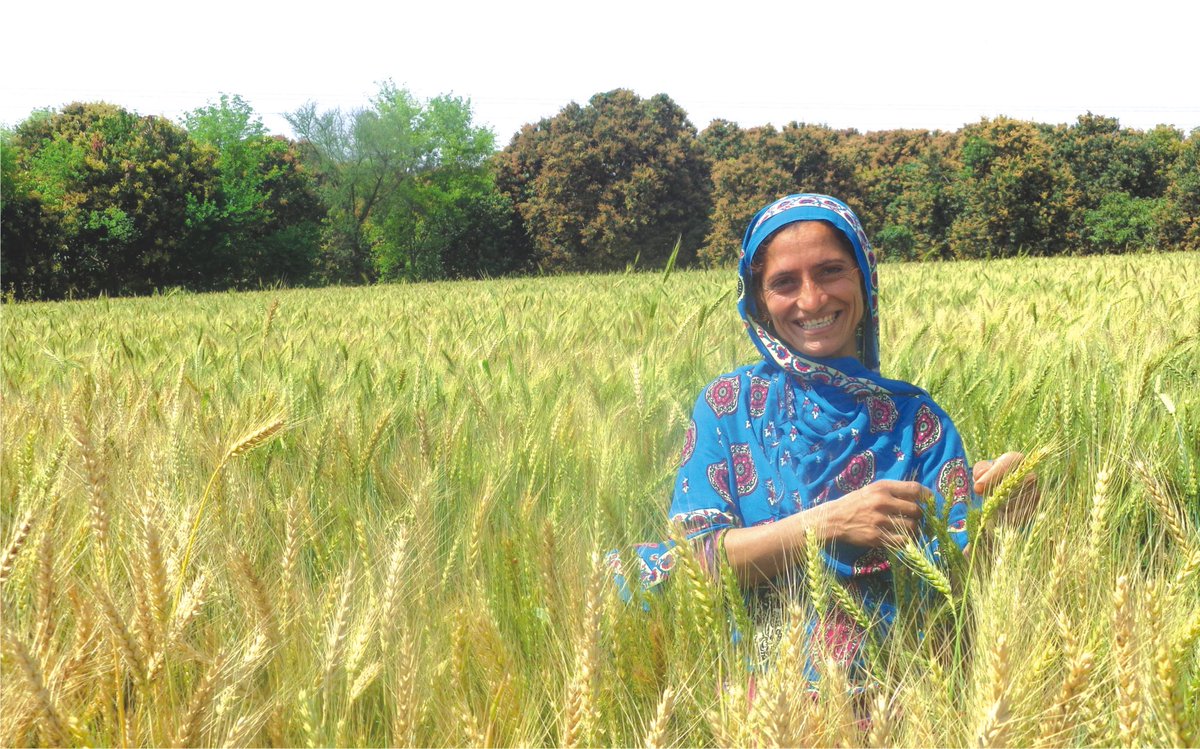 AHGroup_Pk's tweet photo. On this International day of rural women, we pay tribute to the powerful force of Pakistani rural women who sustain their households &amp; communities and improve livelihoods and overall well being.

#InternationalDayOfRuralWomen 
#RuralWomensDay 
#AhGroup
#S2sMark https://t.co/Un1ZiEcw8e