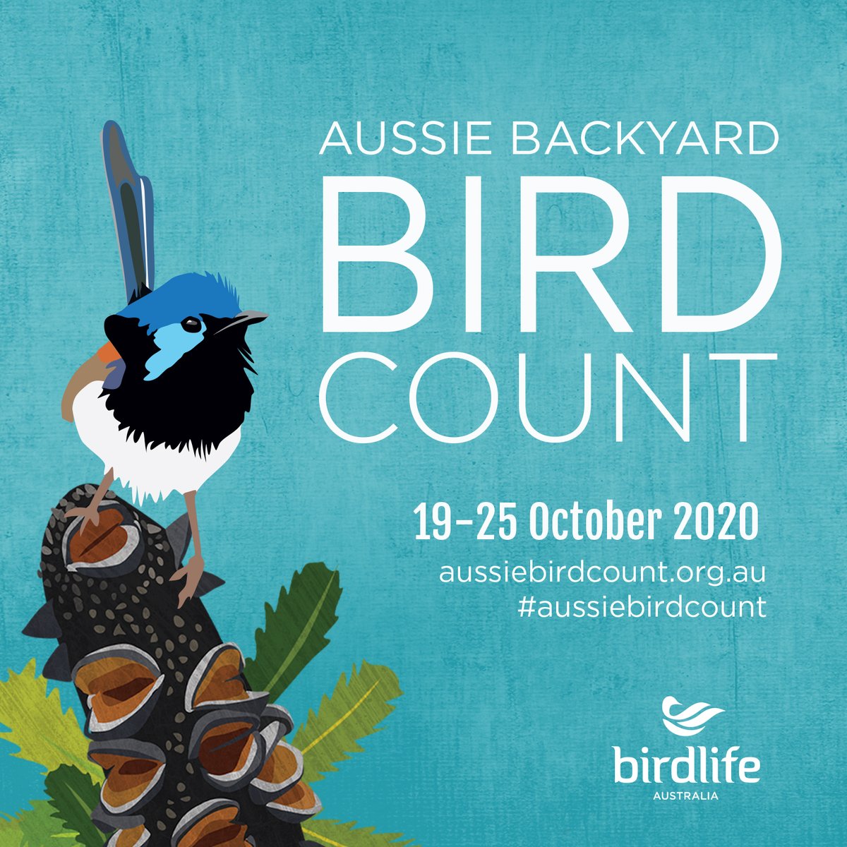 DavidPocock's tweet photo. Proud to be a Chief Counter for this year’s Backyard #AussieBirdCount! I’ll be tracking how many birds I spot during 19-25 October and hope you’ll join me!
Register at https://t.co/wF3gP9NhtN @BirdlifeOz https://t.co/CIXc4xVo4z