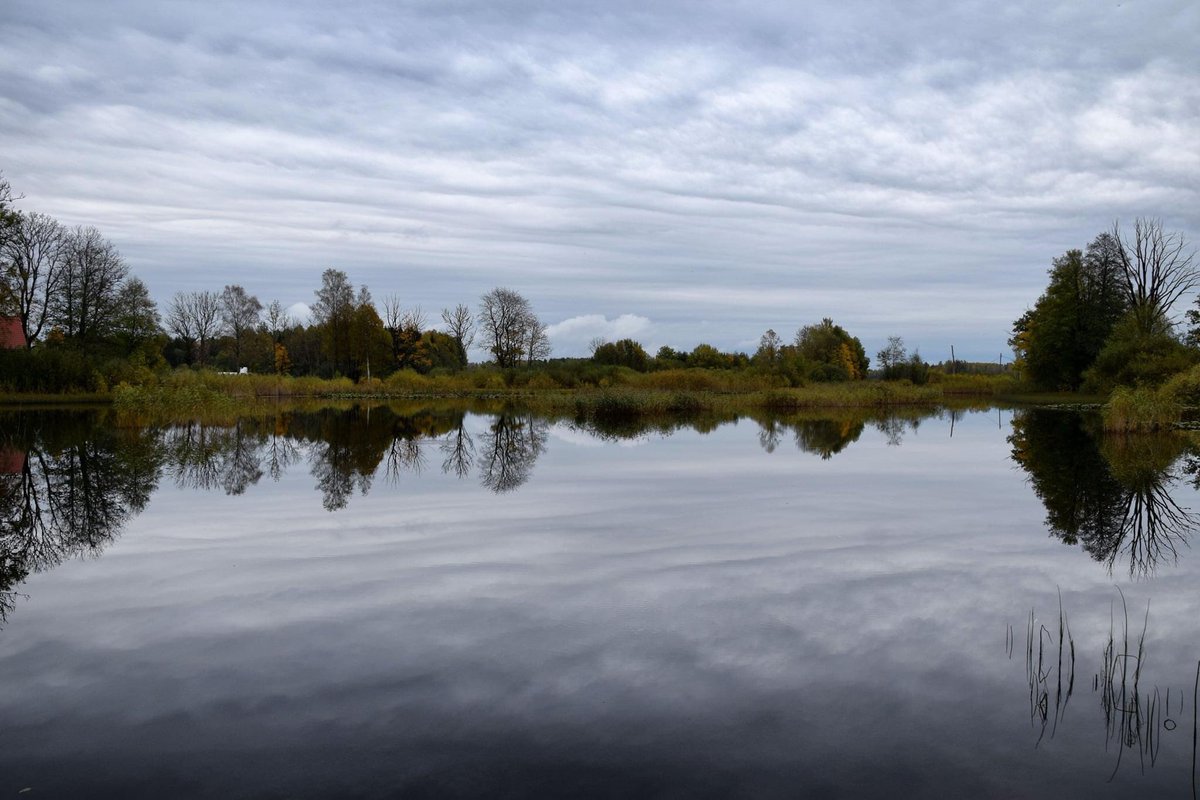 Gints_photo's tweet photo. Taurupes muižas parks #zeltarudens #ogresnovads #taurupe #muižasparks
#photo #photography #latvia #lv #landscape #latvianature #baltic #visitlatvia #ilovelatvia #visitbaltic #latviannature #travel #nature #autumn #october2020 @meteolapa @LVGMC_Meteo https://t.co/A8ayjwmKbe