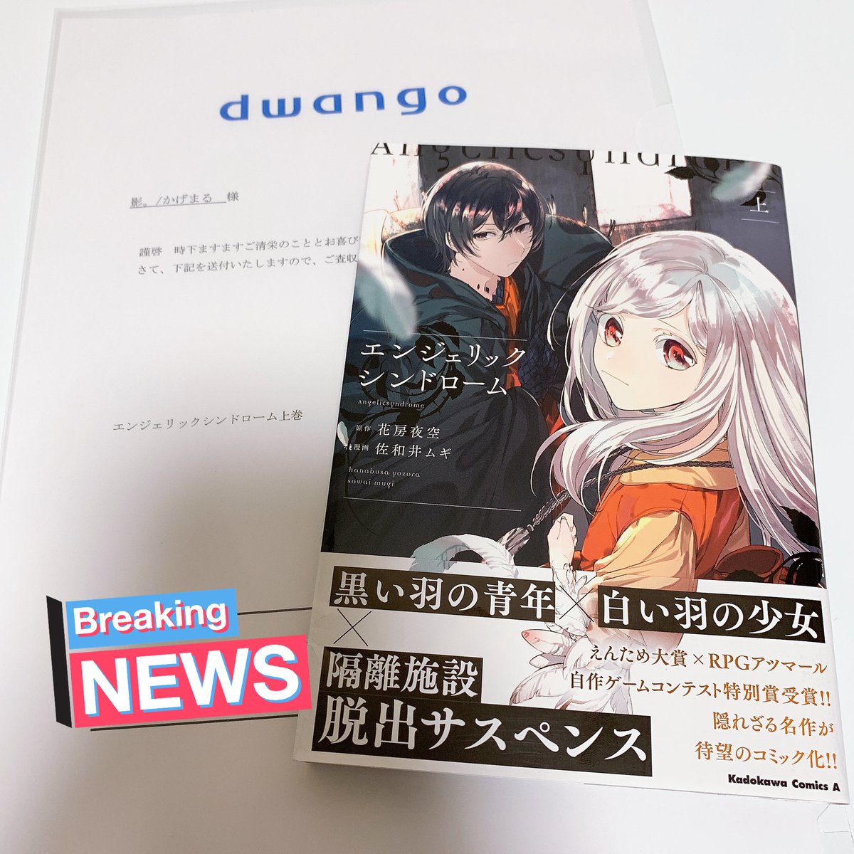 影 かげまる なんと光栄な事に ドワンゴ様より 以前youtubeで実況プレイさせていただきましたフリーゲーム エンジェリックシンドローム のコミカライズ版単行本の献本を頂戴致しました ストーリーはさる事ながら イラストが美しい 改めまして
