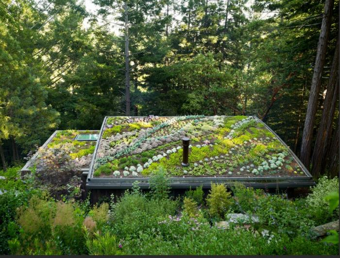GreenGrassGrid's tweet photo. Cottages in the Mill Valley Forest

#greenroof #greenroofs #sedum #livingroof #ecoroof #greenroofsystems #landscapearchitecture #sustainability https://t.co/2eKTzWpZrl