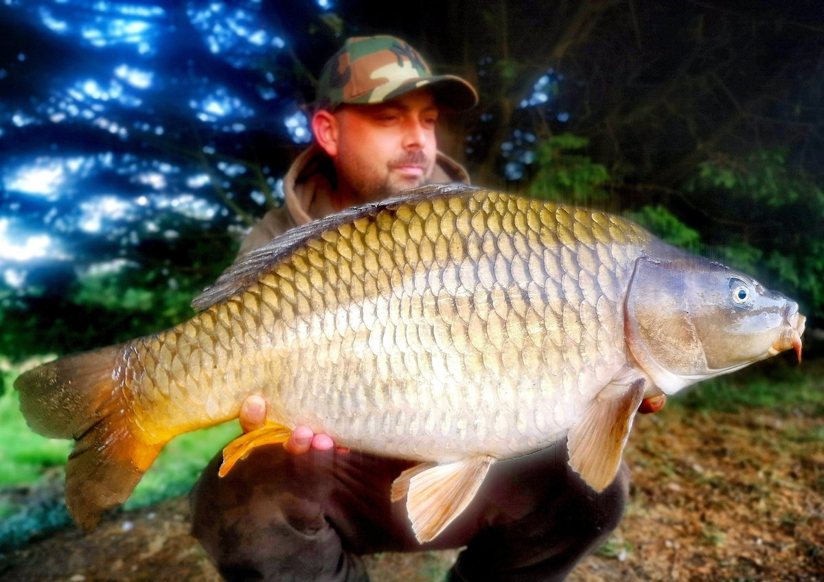 Few commons I've had