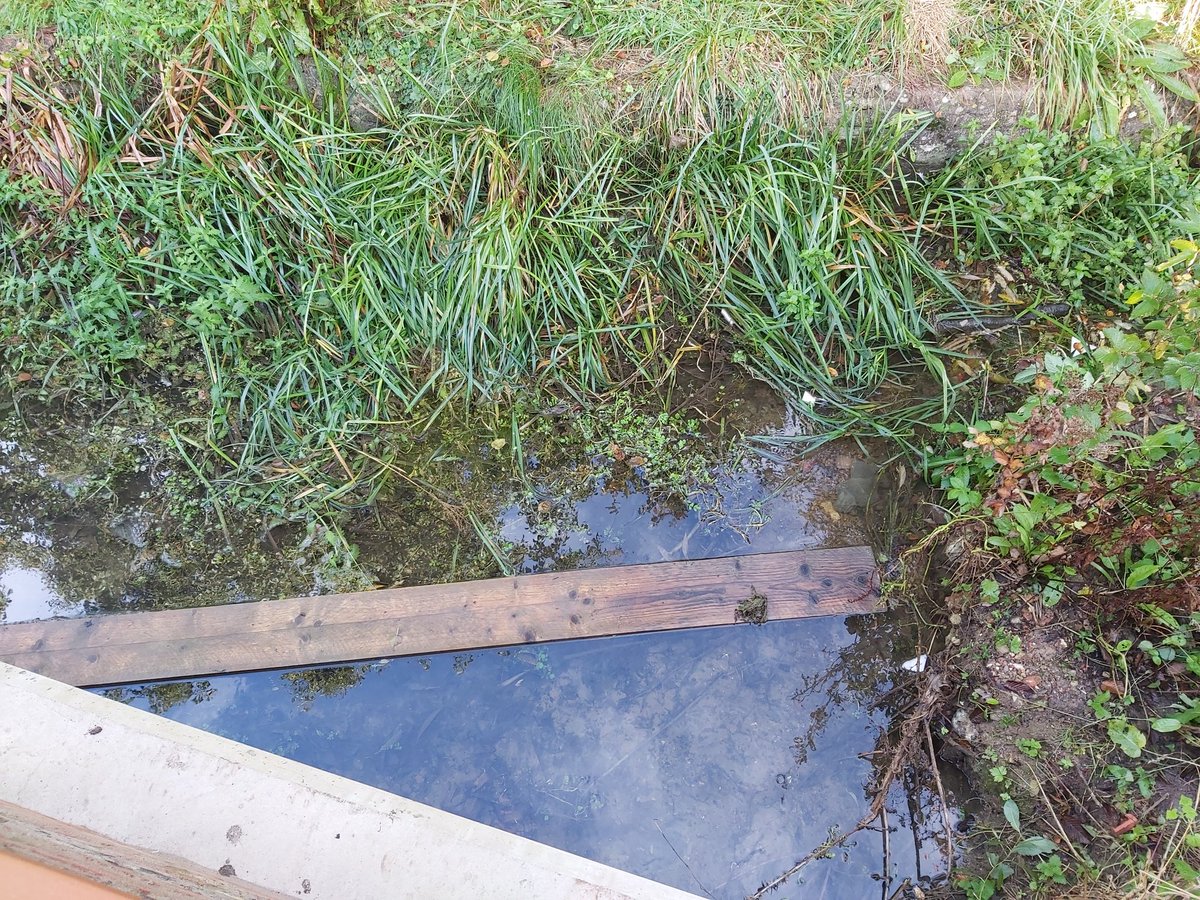 El_Crispo's tweet photo. @SouthOxon Are you able to instruct the developer of the new estate in Wallingford to remove their rubbish they have dumped in the local stream. It's appalling. https://t.co/x6e7KRHGgC