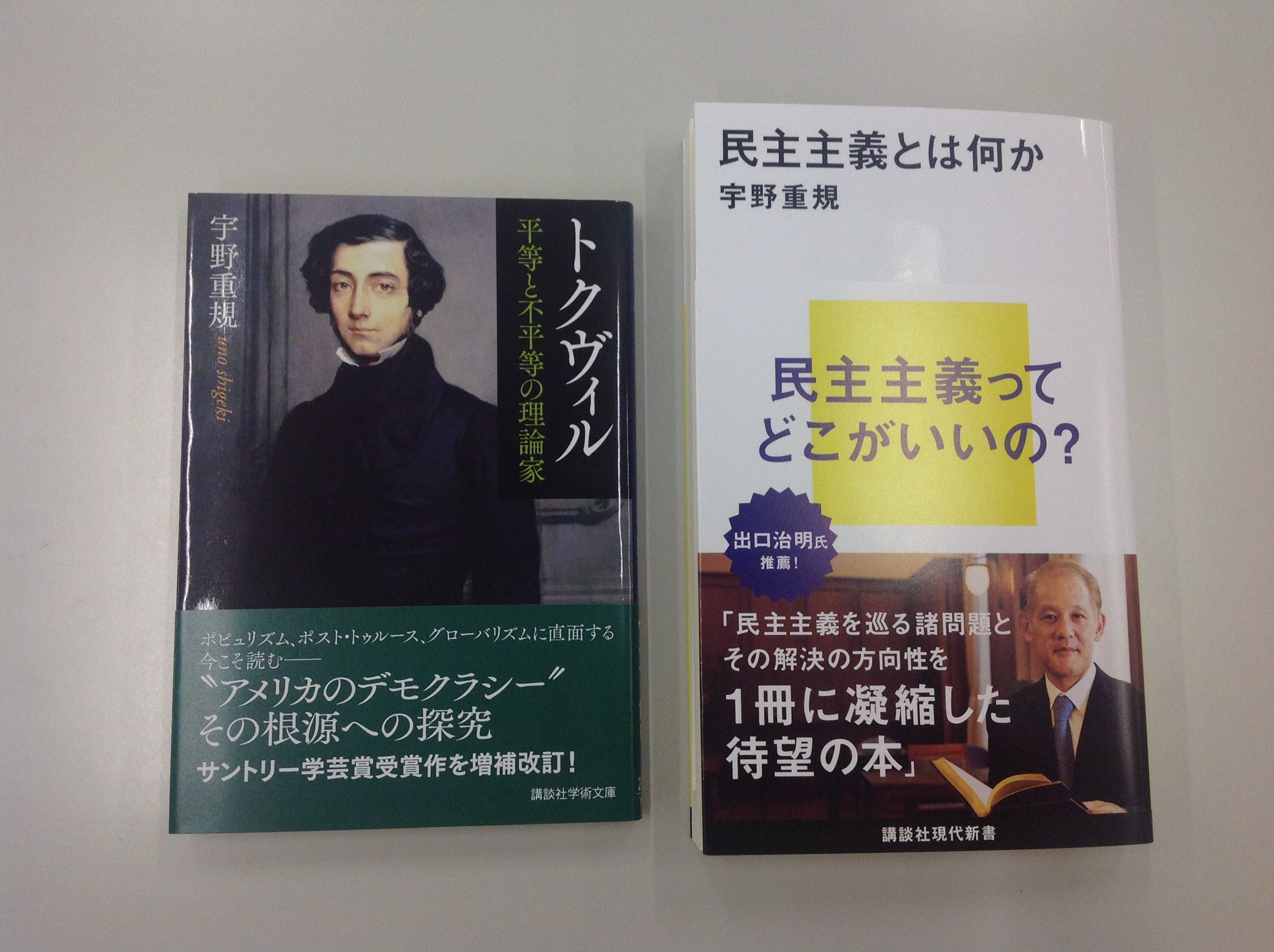 トクヴィル 平等と不平等の理論家 (講談社選書メチエ)