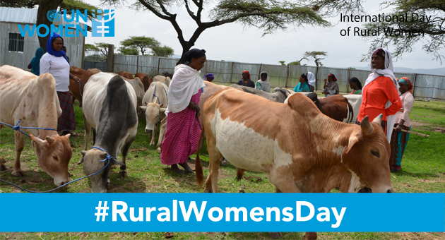 unwomenafrica's tweet photo. ‘Children and youth in my community used to refer to assets owned by the family such as livestock as ‘my father’s sheep’ and ‘my father’s goats’. Nowadays they refer to ‘my mother’s sheep’, ‘my mother’s goats.”  - Alima Bakuye Ethiopia

#ruralwomen are #vitaltorecovery https://t.co/0vyA8b7cX2