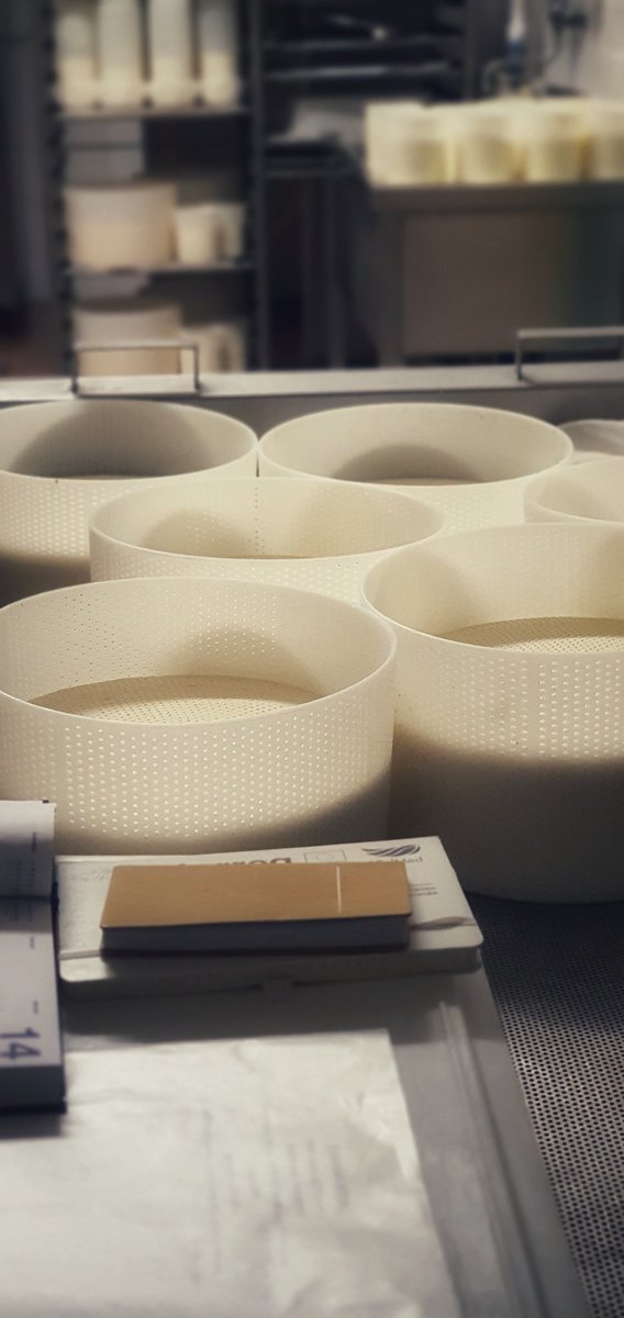 Buongiorno mondo. Il mio ufficio questa mattina!! Casara all'opera. #iolavorodasola
@CondottaTortona <a href="/ParcoBeigua/">Parco Beigua UNESCO Geopark</a> <a href="/StorieTerritori/">StorieDiTerritori</a> @TurismoLiguria <a href="/Italia/">Italia.it</a> <a href="/LiguriaPiemonte/">Tra Liguria e Piemonte</a> <a href="/CCIAARIVLIG/">CCIAA RIVLIG</a> <a href="/GenovaTour/">Genovatour</a> <a href="/igersgenova/">Instagramers Genova</a> <a href="/igersliguria/">igersliguria</a> <a href="/ig_liguria/">IG Liguria</a> <a href="/FoodLiguria/">Slow Food Liguria</a> <a href="/SlowFoodItaly/">Slow Food Italia</a> <a href="/igersmilano/">Instagramers Milano</a>