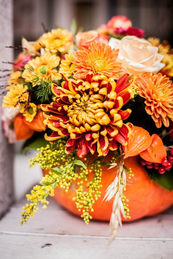 Flover (@floverred) on Twitter photo 