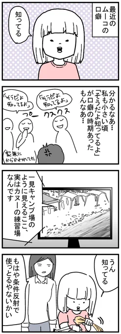 これ以外にテレビで「新幹線と東京タワーどっちが長いか!答えは新幹線(400m)でした!」にも「知ってた」と答えていました。#育児漫画 