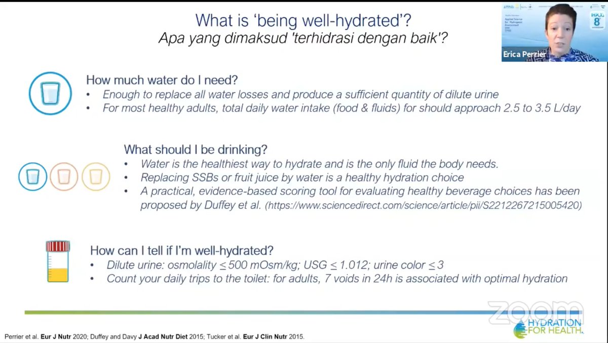 H4HInitiative's tweet photo. The second webinar on Healthy hydration and Non-communicable disease hosted by @IHWG_ID is live!  👉https://t.co/o14Sw5b5Go 
Thank you all for joining us 🤗
We'll share with you today some key messages from the presentations. Stay tuned by using #IHWG2020!
#hidrasisehat https://t.co/RR48fhlNEN