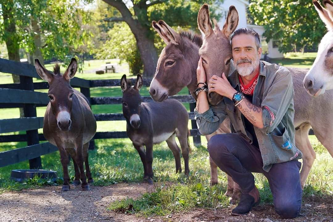 JDMFansite's tweet photo. Just some @JDMorgan adorableness from a #NYPost article this week. How can you not be a fan of this guy?Hint: It's impossible! https://t.co/A8SQNNwRlG