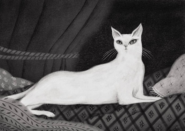 Exquisito y muy original "cuento de hadas" contemporáneo de #KellyLink (Premio #Hugo y finalista #Pulitzer) inédito en España, trufado de referencias que harán las delicias de los aficionados/as al género, e ilustrado con brillantez por <a href="/AnaSender/">Ana Sender</a> 

🐈canallector.com/25534/El_divor…