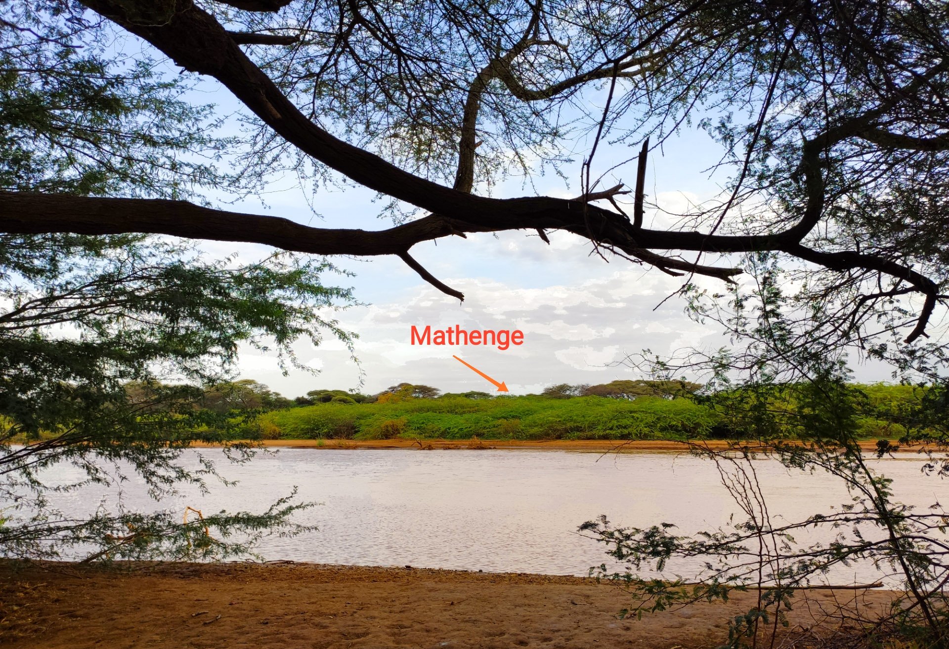 Geography of Kenya on Twitter "The trees have pods that are eaten by