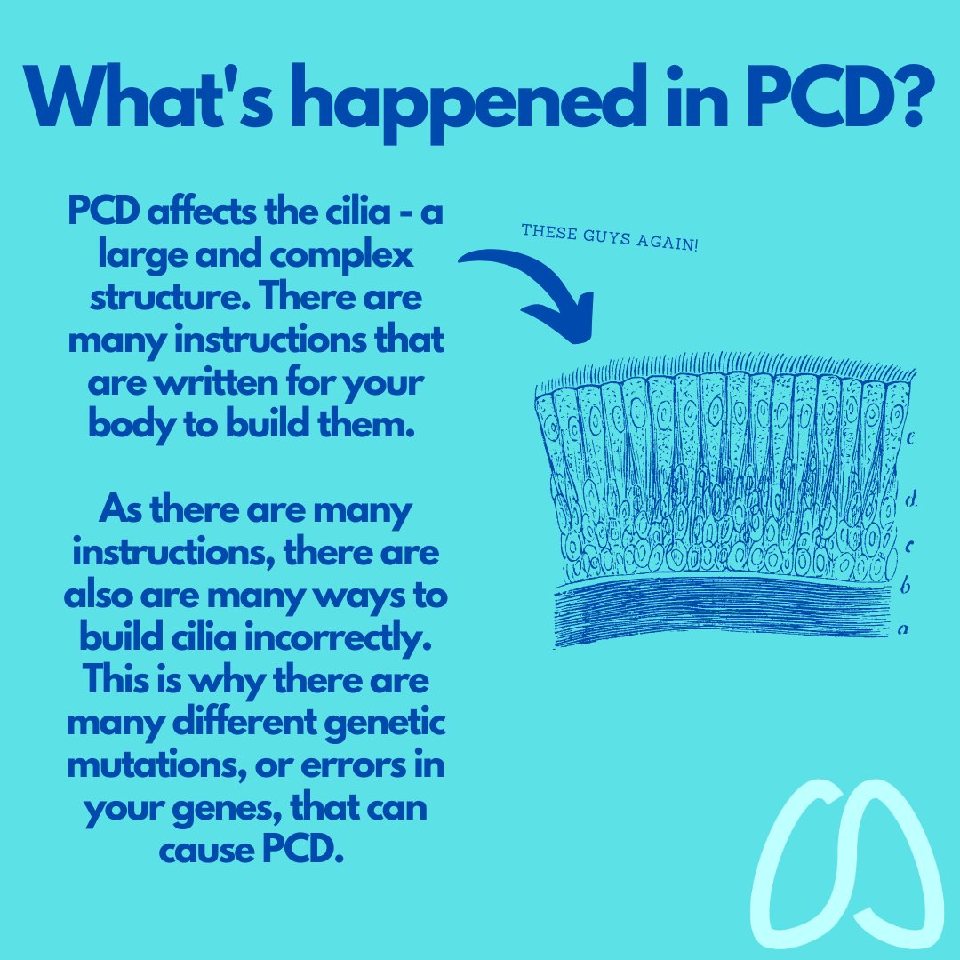 PCD Support UK tweet media
