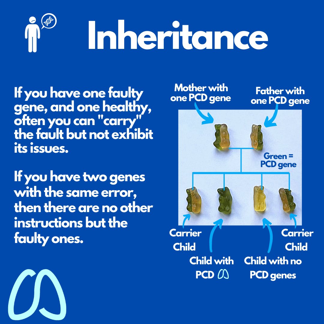 PCD Support UK tweet media