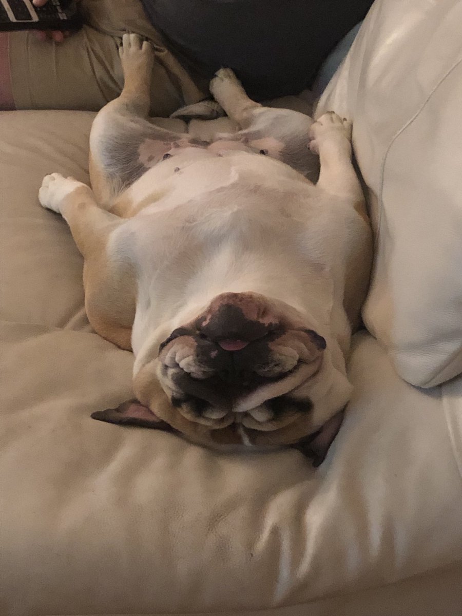 Emmet Farrell tweet media