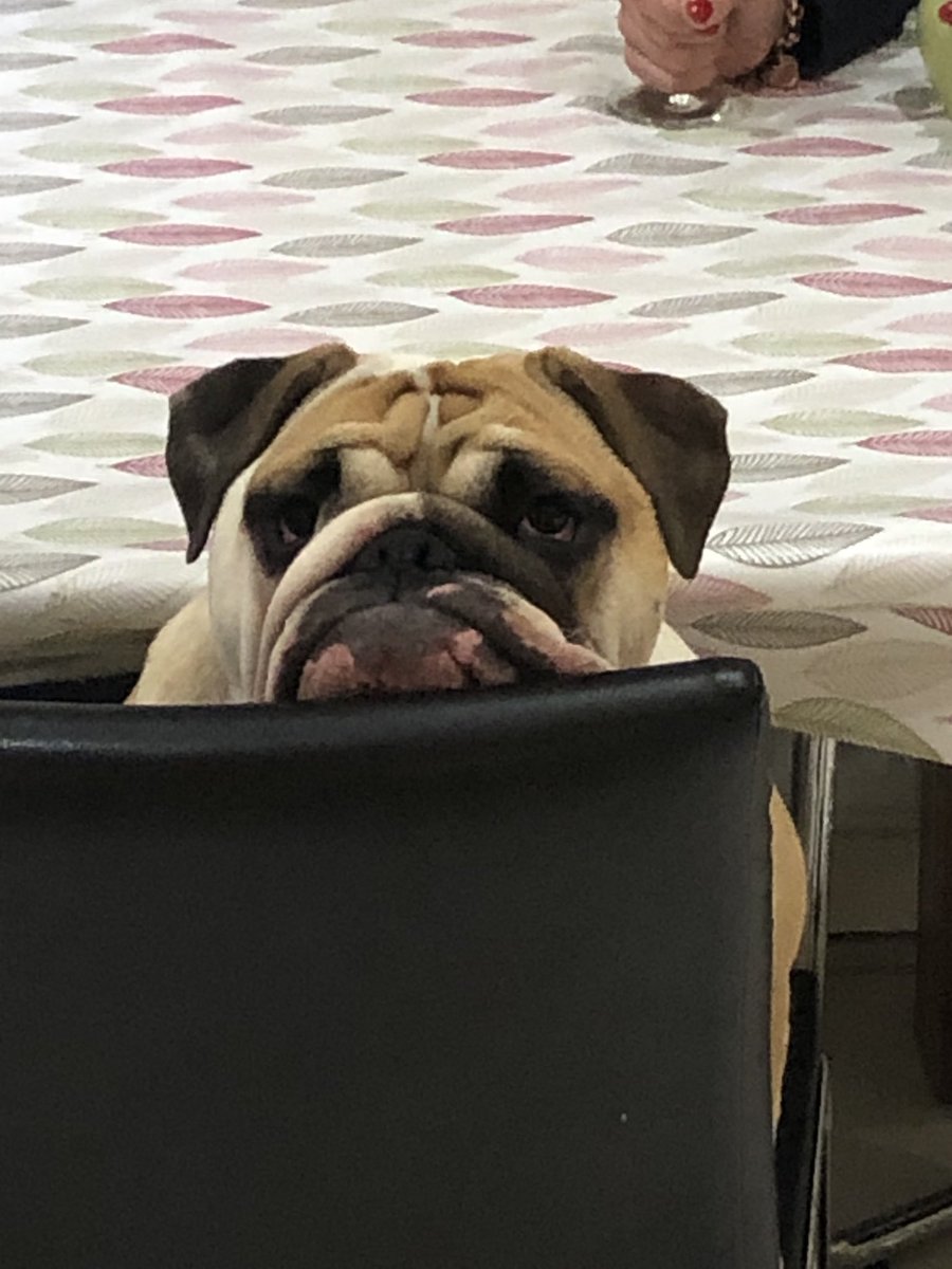 Emmet Farrell tweet media