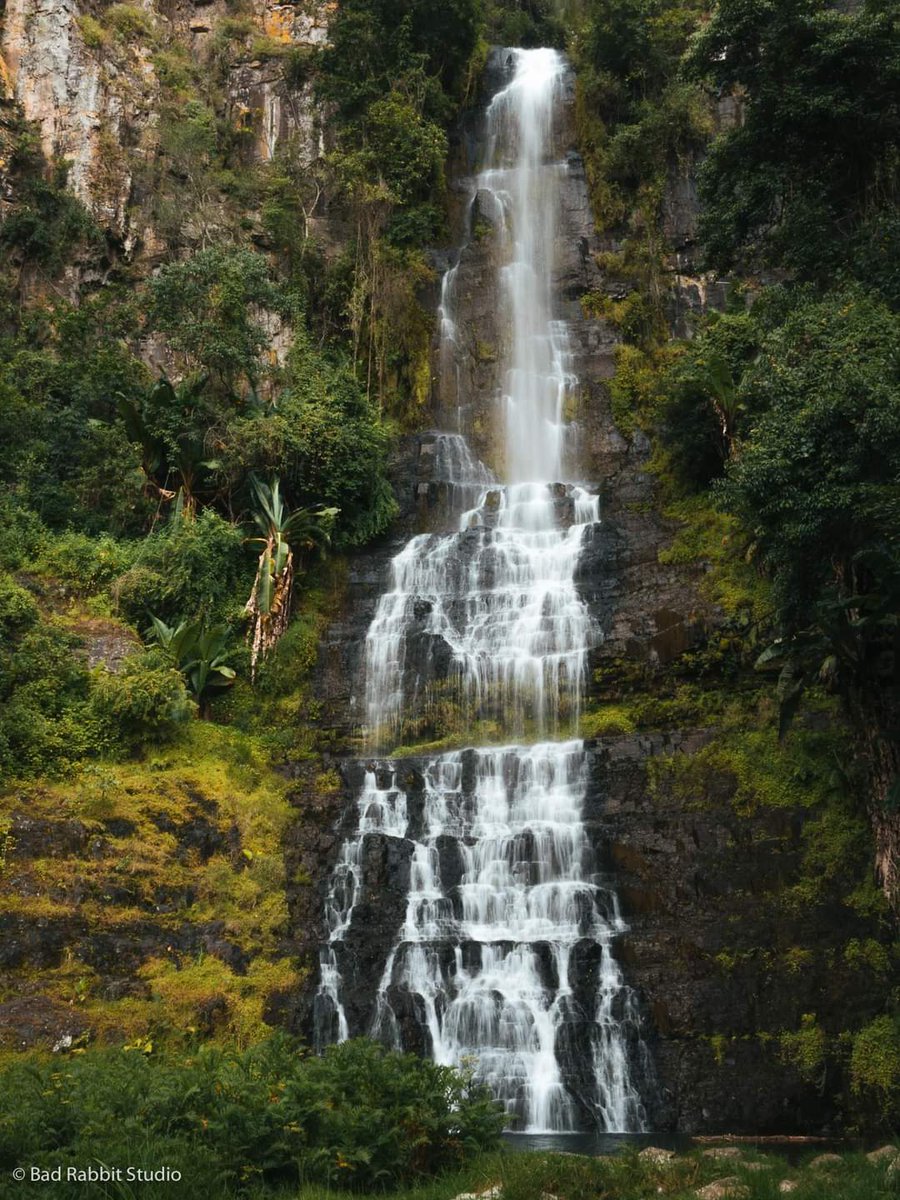 sam_in_zimbabwe's tweet image. #Chimanimani - One of #Zimbabwe&apos;s most beautiful destinations that has not being given the priority it deserves esp. by us locals. 
📷 #BadRabbitStudio 
1 &amp;amp; 3- #PorkPiePeak
2- #BridalVeilWaterfalls
4- #Waterfall @ #TessasPool
#ShoozDMC #ShoozEasternHighlands
#BeautifulWaterfalls