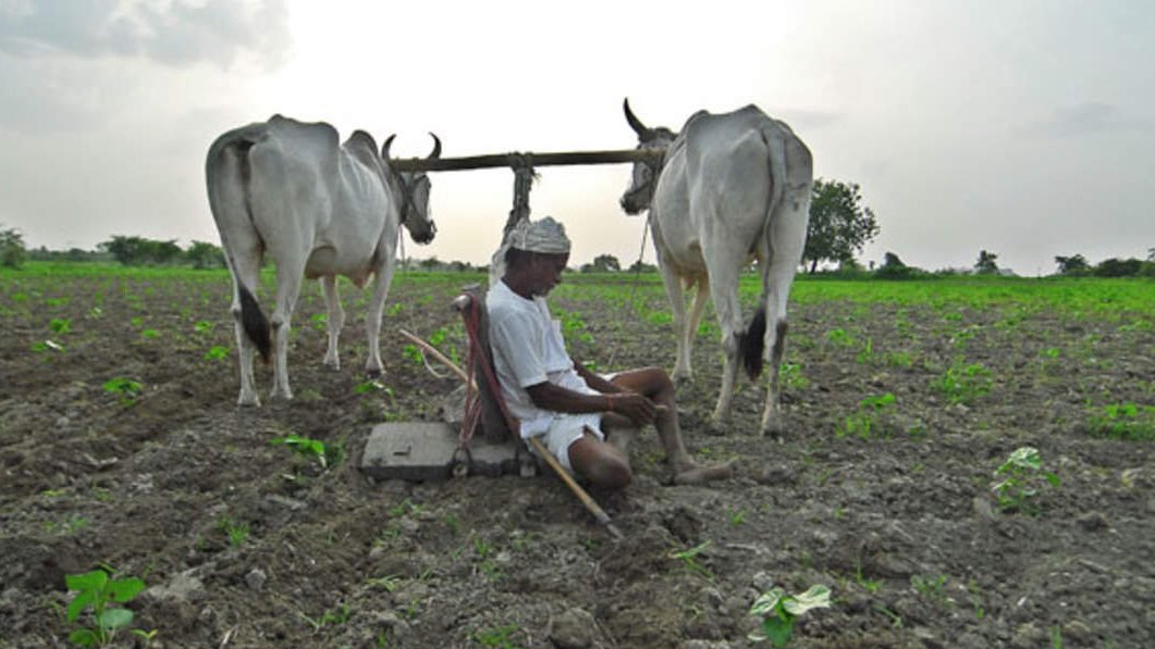 Tiwari_tweets's tweet photo. How it is happening                     How we will end it!

#agtech #GrowMoreGrowBetter #Farming #IndianFarmer https://t.co/rY9qdwNSuS