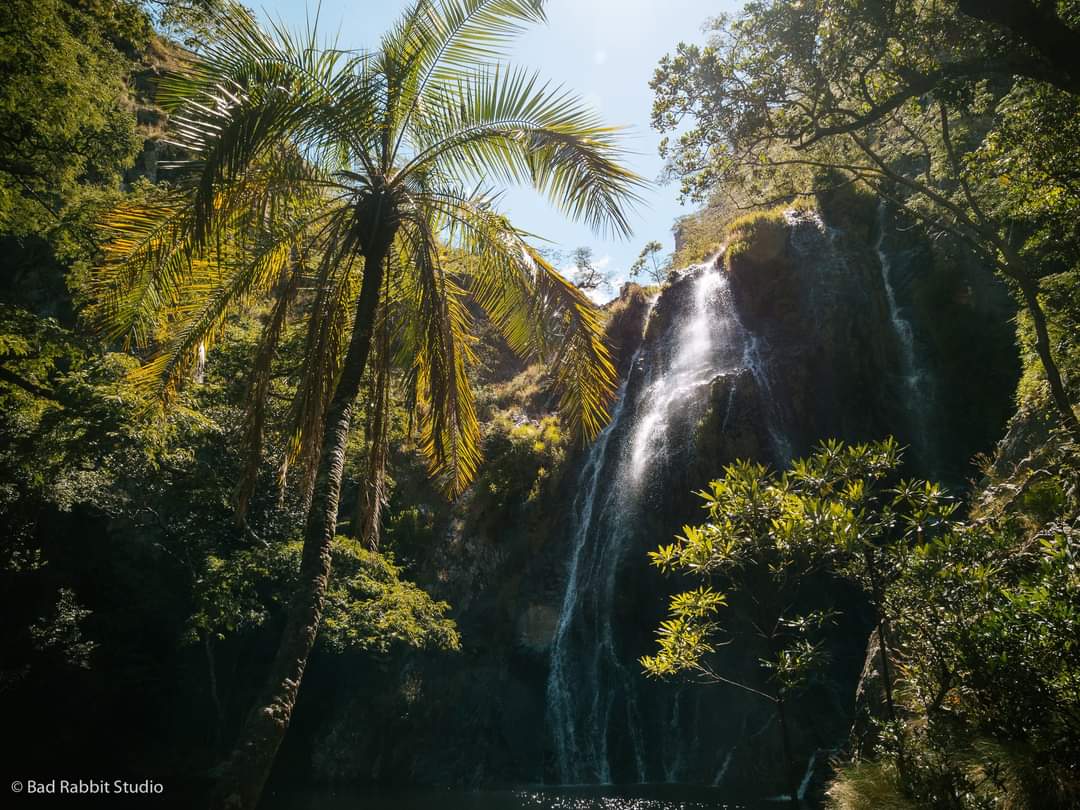 sam_in_zimbabwe's tweet image. #Chimanimani - One of #Zimbabwe&apos;s most beautiful destinations that has not being given the priority it deserves esp. by us locals. 
📷 #BadRabbitStudio 
1 &amp;amp; 3- #PorkPiePeak
2- #BridalVeilWaterfalls
4- #Waterfall @ #TessasPool
#ShoozDMC #ShoozEasternHighlands
#BeautifulWaterfalls