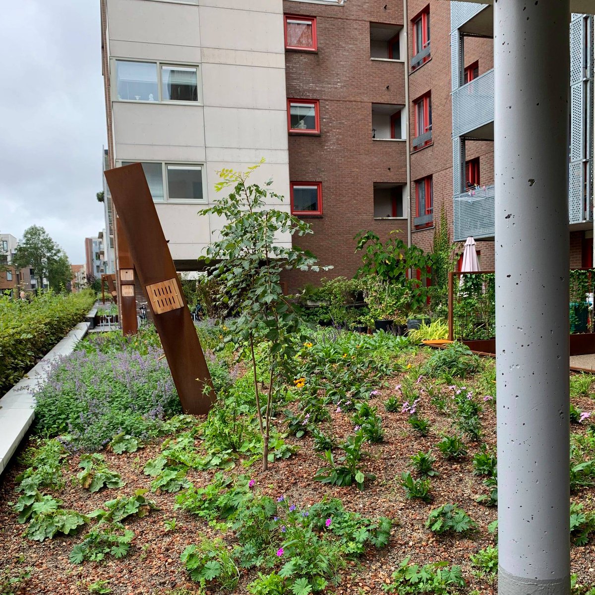 In opdracht van <a href="/BetonRestore/">BetonRestore</a> hebben we onlangs een bestaande #daktuin vervangen bij een complex van <a href="/EigenHaard/">Eigen Haard</a>. Over de lengte van 3 bouwblokken hebben we een rijkbloeiende beplanting teruggebracht met als eyecatcher een #insectenhotel in verschillende cortenstalen pilaren. 🐝