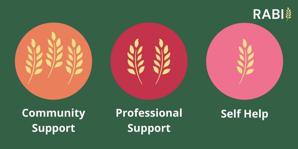 RABIcharity's tweet image. Our new online wellbeing service will offer three key areas of support to promote positive mental health #MentalHealth
