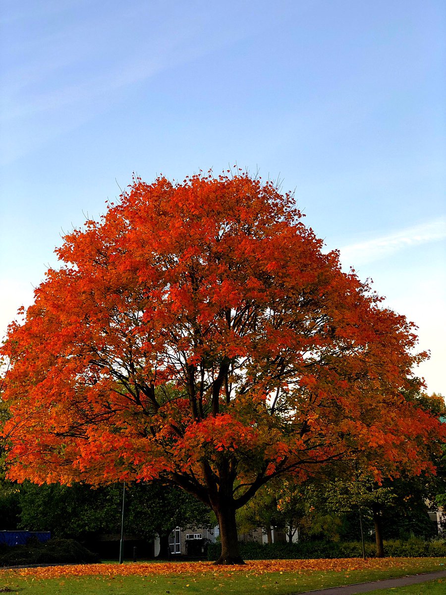 Akmal Hidayat Sabri tweet media