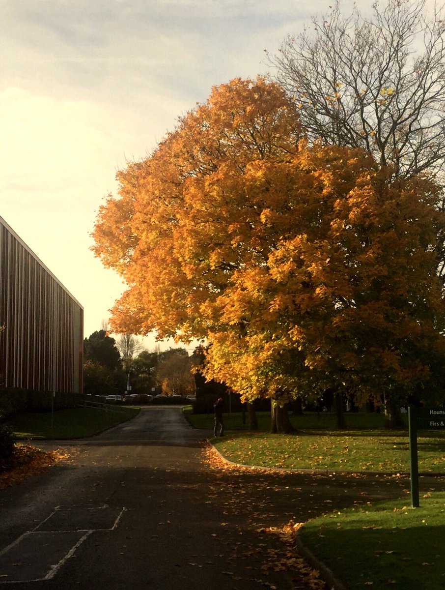 Akmal Hidayat Sabri tweet media