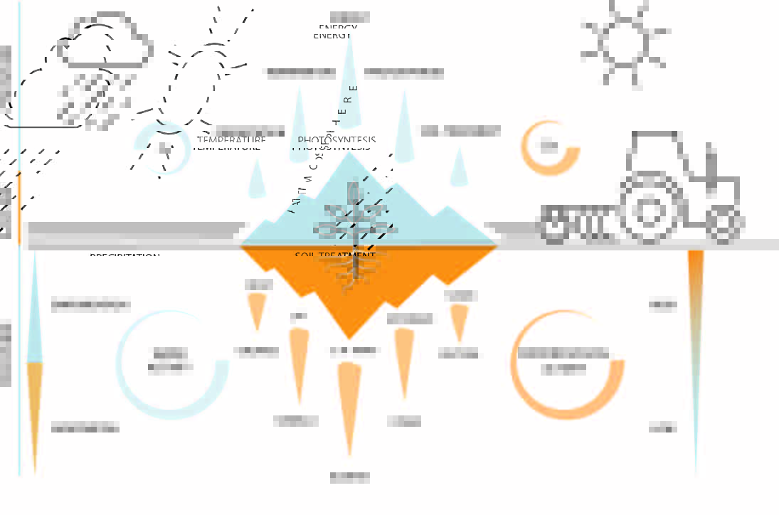 Our look at  a modern agronomic cycle. We are open to discuss, write us a comment and take a look on our webpage: tatrabears.com