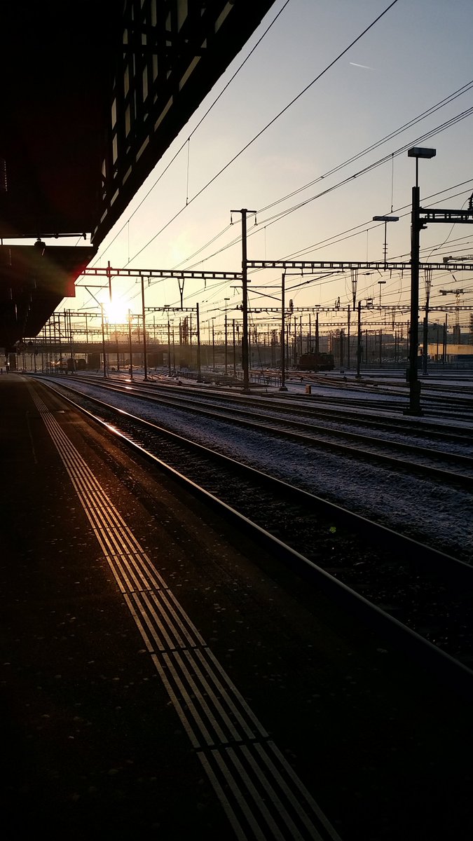 MenschMeyerText's tweet image. Frühmorgens, Texte wollen transkribiert werden. 

Ich: «Gibt es eigentlich schon den Gedanken-Recorder?»
Er: «Gibt es. Nennt sich Gehirn.»

#AmWriting #SchreibDeinBuch #Schreiben #GutenMorgen