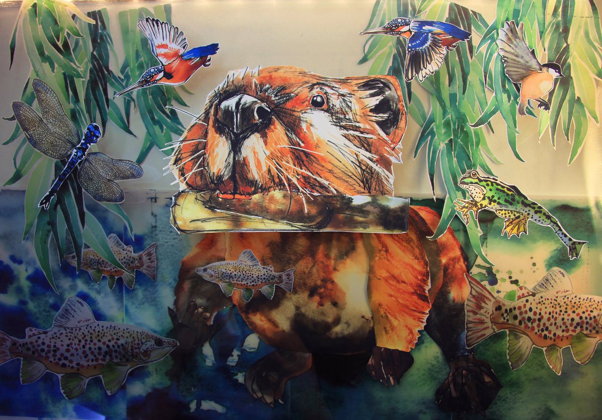 Here’s a little sneak peak of the next animation I’ve been working on for the <a href="/BeaverTrust/">Beaver Trust</a>! Beavers are super cool and their restoration to our rivers is very important- I can’t wait to show you why in around two weeks! 🤓#scicomm #sciart #wildlifeart