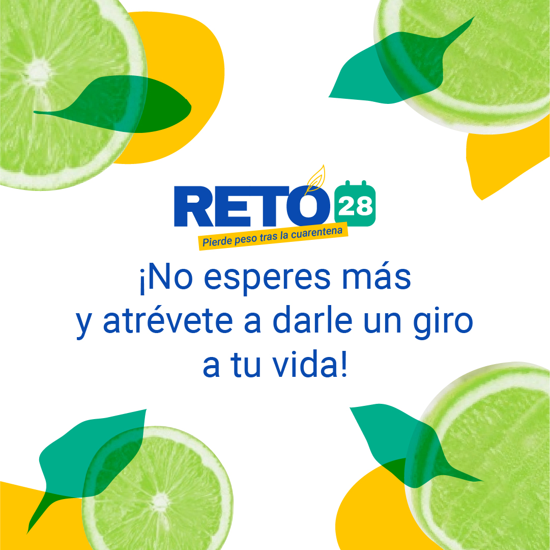 tele11PR's tweet photo. ¿Qué necesitas para bajar de peso y mejorar tu salud? ¡Ganas! En #Reto28 te damos el plan alimenticio y los ejercicios que necesitas seguir. 🙌
👉 https://t.co/pBGaY2J04b https://t.co/bAeMpVnIh0