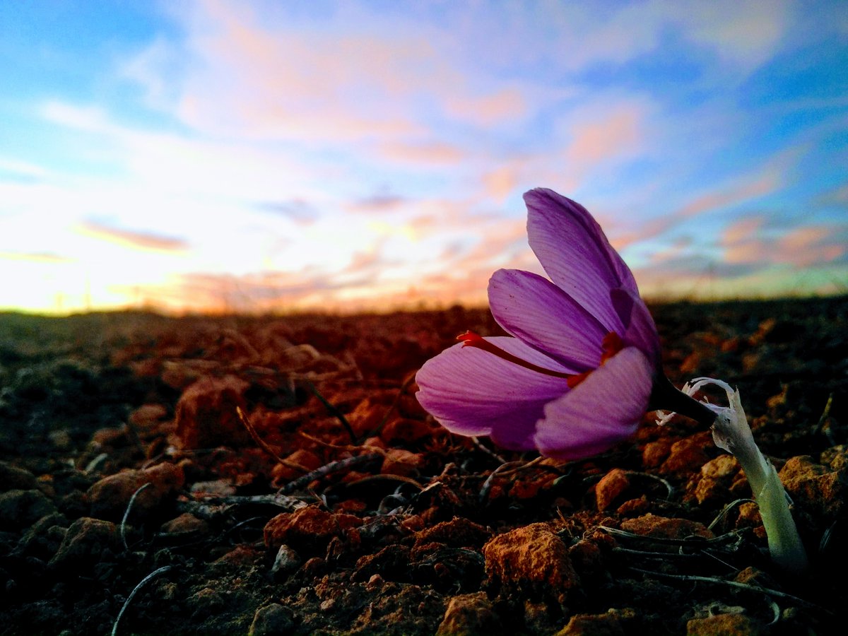 Carlos E. Fernández tweet media