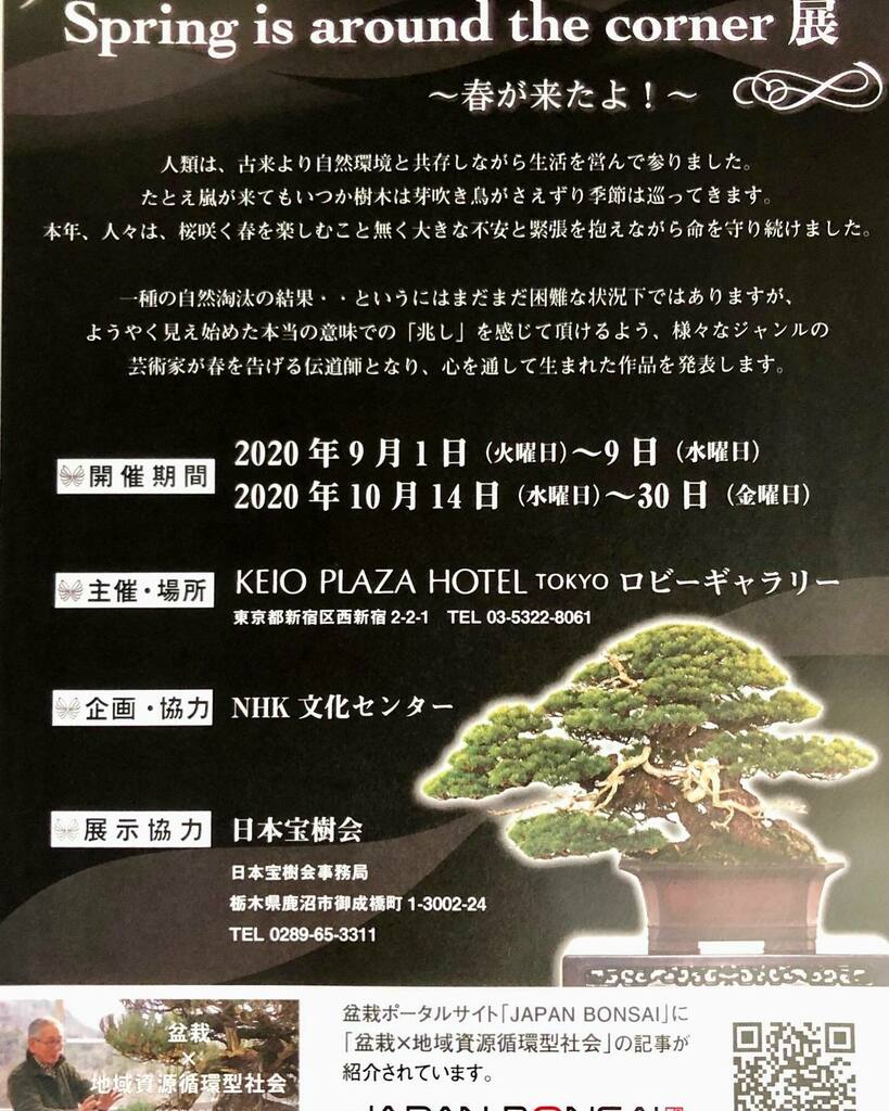皐月盆栽渋谷園 皐月盆栽渋谷園