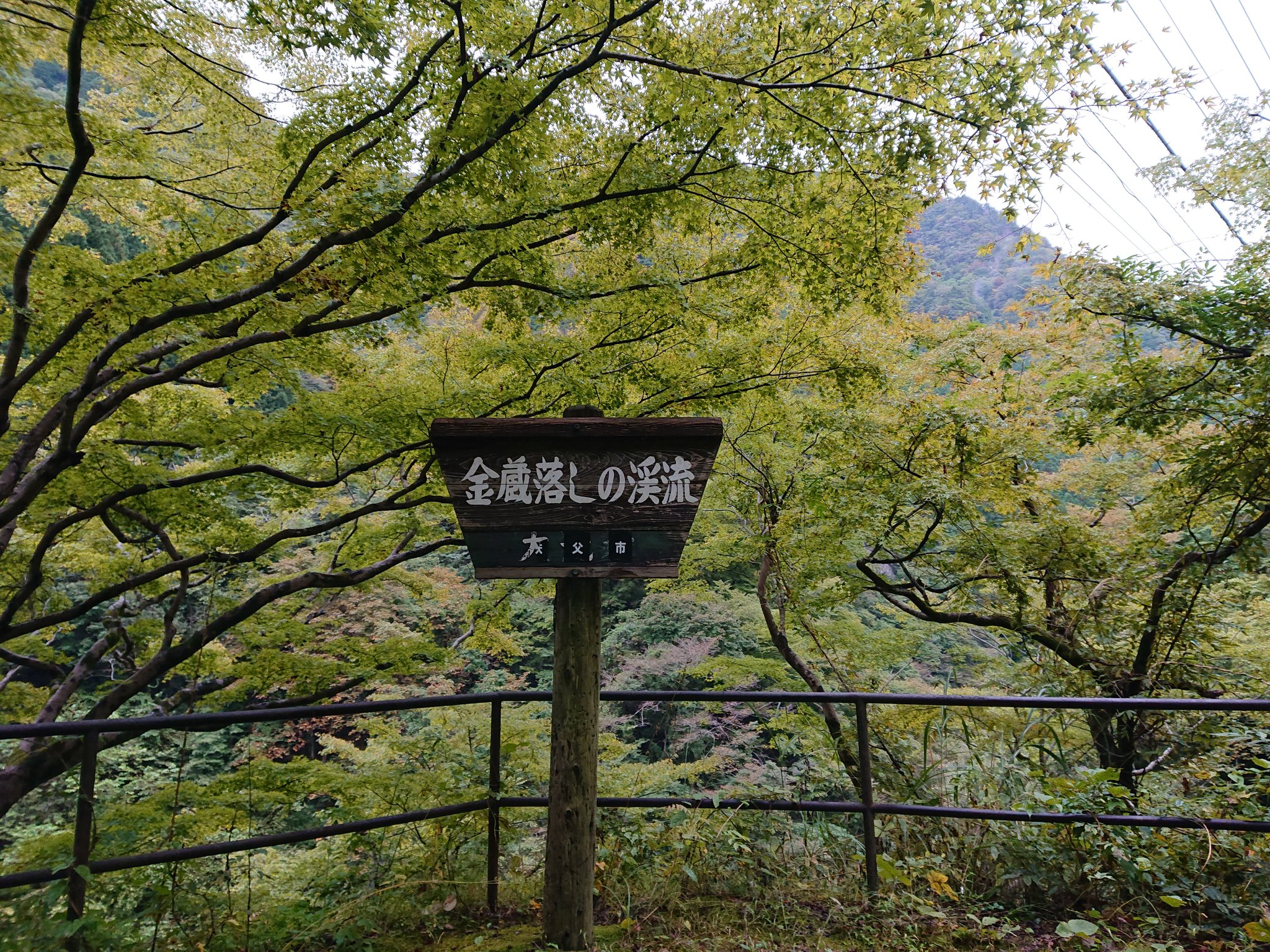埼玉県秩父地域振興センター No Twitter 紅葉情報 奥秩父の木々が色づき始めました 秩父市大滝の滝川渓谷 豆焼橋から見た黄色い雁坂大橋 写真左 三峯神社 写真右上 大血川渓谷の金蔵落しの渓流 写真右下 10 15現在 埼玉県秩父地域振興センター No Twitter 紅葉情報 奥秩父の木々が色づき始めました 秩父市大滝の滝川渓谷 豆焼橋から見た黄色い雁坂大橋 写真左 三峯神社 写真右上 大血川渓谷の金蔵落しの渓流 写真右下 10 15現在