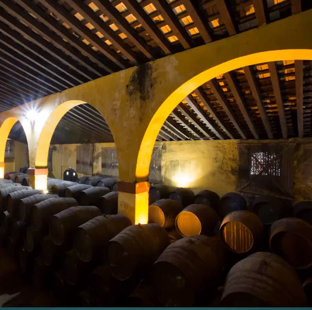 CorkBilly's tweet photo. Tindal’s Spanish Wine Week Webinar. The evolutionary journey of Spanish Wine. https://t.co/btRSk6fE0o #sww2020 @Tindalwines @HarrietTindalMW #SpanishWineWeek @SpainFoodWineIE #Jerez #Priorat #TelmoRodriguez  
@saraprez3 @BodegasFdeC @Suertesmarques #wine #blogger https://t.co/4EZ5QZripX