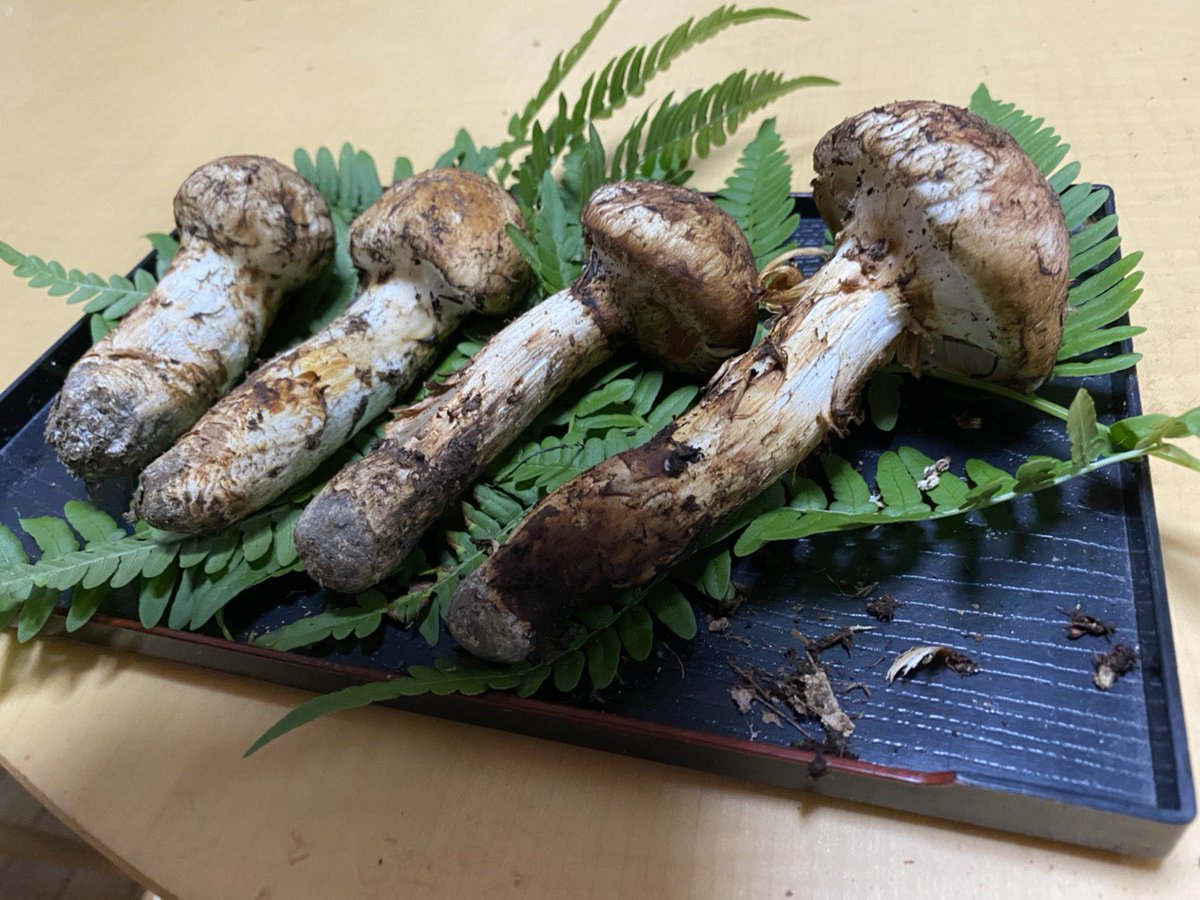 松茸おこわ