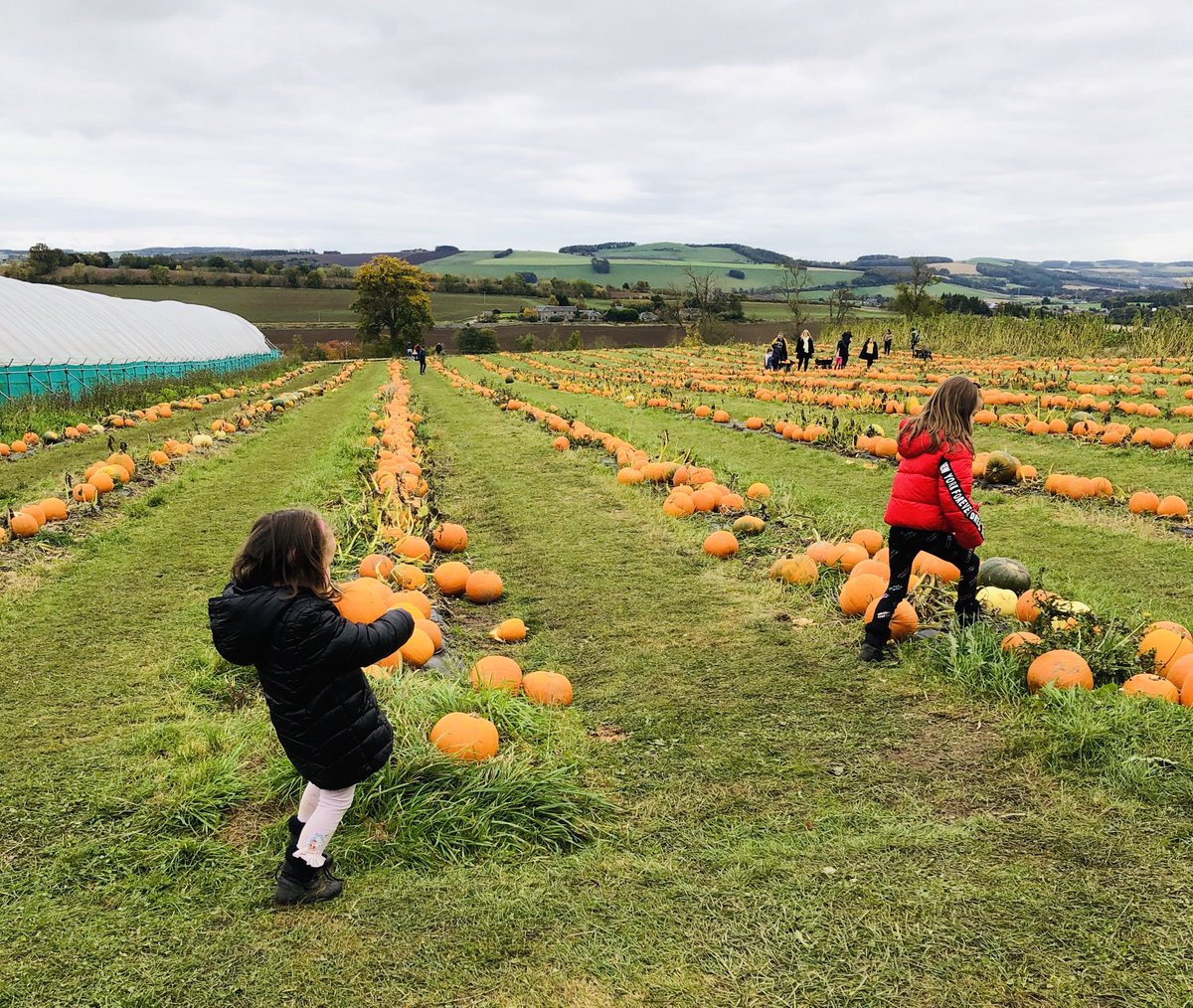 Jennikeaveny's tweet photo. Getting ready for the ⁦@StJosephsERC⁩   pumpkin 🎃 patch https://t.co/MNF58Q5fsG