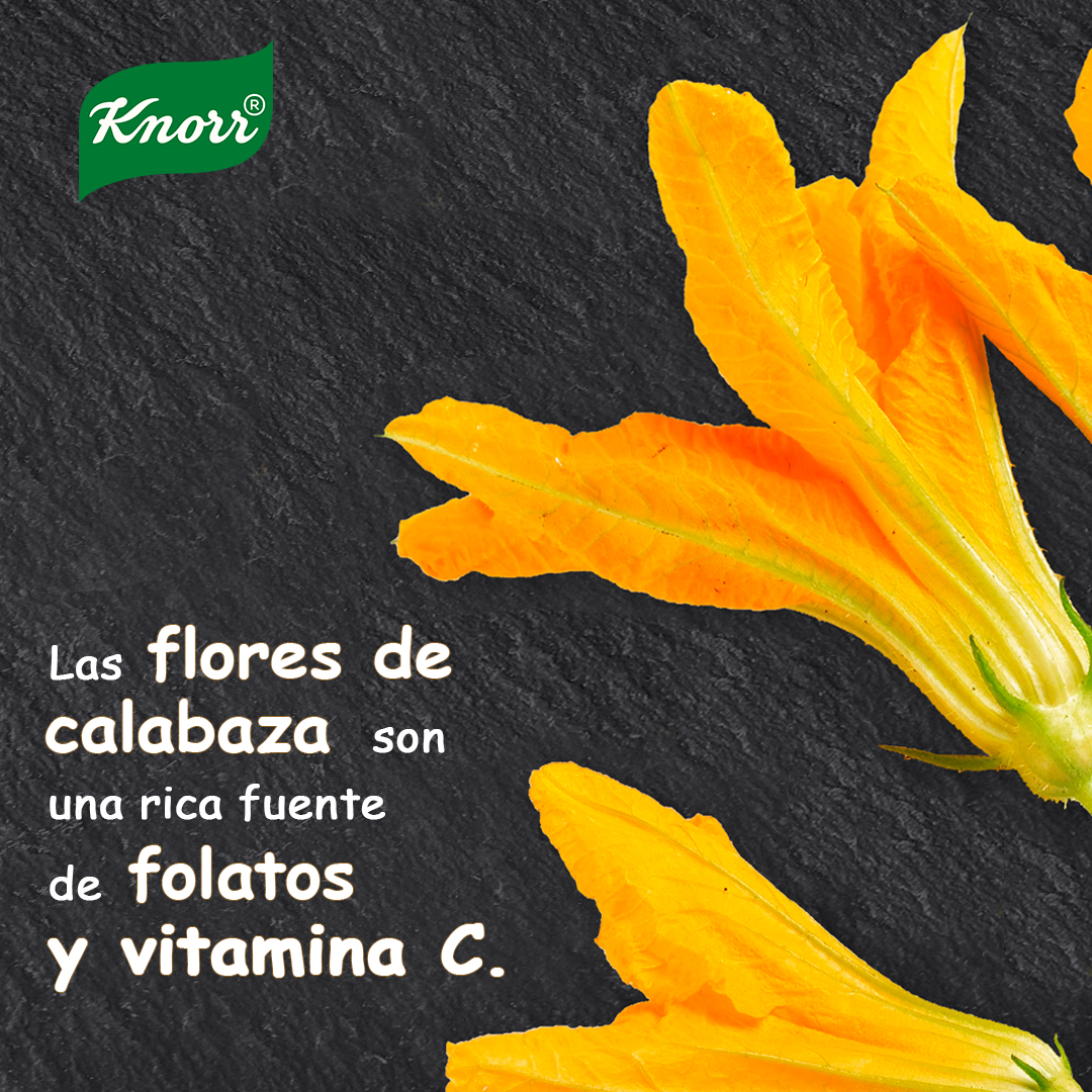 ¿Has probado alguna vez las flores 💐 de la calabaza? Sí, sí, también es un alimento que podemos comer y que tiene muchos beneficios para nuestra salud. Puedes tomarlas en diferentes recetas pero, sobre todo, quedan genial en las ensaladas 🥗. #pasiónporlasverduras